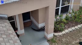 US: Deputies Rescue Alligator Creeping Around Florida Home