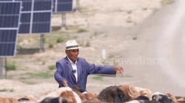 China: Xinjiang's Nileke County pioneers integrated solar-agricultural development