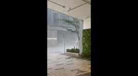 Wind whips through street in Hong Kong during Typhoon Ragasa onslaught