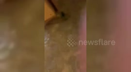 Hong Kong: Hong Kong’s Fullerton Ocean Park Hotel Lobby Submerged After Water Surge