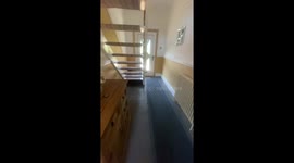 Bee buzzing under stairs startles man in Liverpool, UK