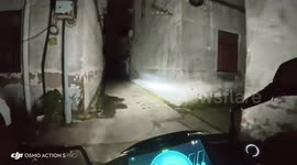 Dog playfully evades chase through narrow streets in Jiangsu, China