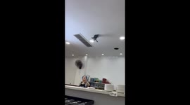 Pigeon crashes into restaurant and falls into boiling container in Shaanxi, China