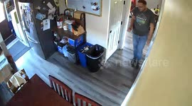 Two playful cats cause chaos at the kitchen in Roanoke, Virginia, USA