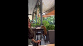Cat sneaks breakfast at a restaurant table in Ankara, Turkey