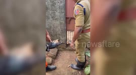 Iron gate entraps tiny kitten’s head, forcing urgent cutter operation from officials to ensuring survival