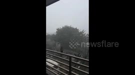 Hong Kong: T10 Highest Warning Issued as Typhoon Ragasa Approaches 7