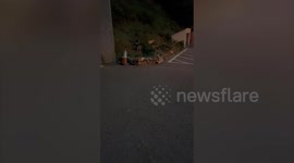 Runaway chicken hitches lift for 25 miles on back of Land Rover