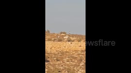One Killed, Three Injured in Shooting Near Al-Mughayir