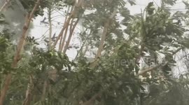 China: Typhoon Ragasa lashes Guangdong with fierce winds, heavy rain