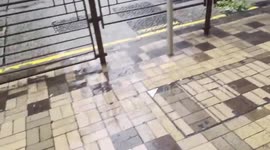 Super Typhoon Ragasa: Debris On Hong Kong Streets