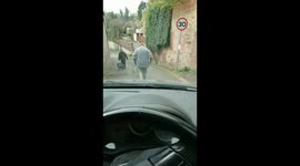 Driver Incensed by Slow Pedestrian