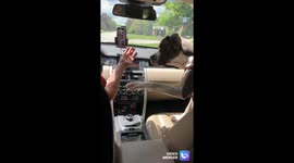 Dog Reminds Owner Not Text and Driver