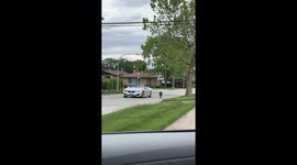 Owner Walks Dog From The Driver's Seat