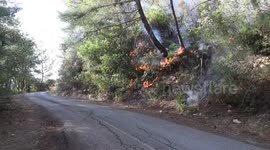 Syria: Civil defense worker killed as wildfires rage in Syria’s Latakia region