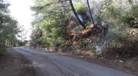 Civil defense worker killed as wildfires rage in Syria’s Latakia region