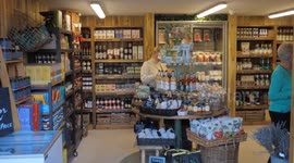 A Royal Escape: Explore the Botanical Wonders & Artisan Treasures of Duchy Nursery, Lostwithiel, UK