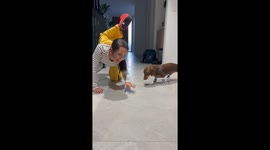 Silly Sausage does Yoga