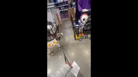 Store's Halloween decor spooks dog seeing him bump head
