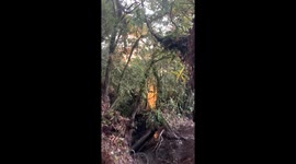 Golden Hour in Gunung Ratai Indonesia