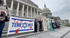 Pro-Palestine demonstrators arrested outside US Capitol