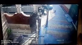 Monkey Mob Attacks Family Riding Scooter in Hapur, Disturbing Incident Caught on CCTV