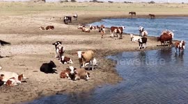 China: Water diversion projects revive dry lake once known as