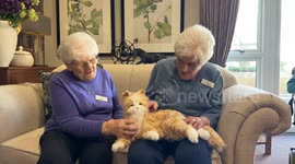 Care home residents given robot dogs to tackle loneliness