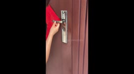 Clever cat opens door in Anhui, China