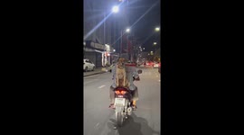 Pet dog sits behind owner on motorbike while holding umbrella in its mouth