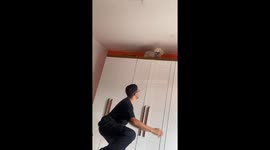 Dog jumps from wardrobe to bed in São Paulo, Brazil