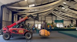 Gardeners unload their giant produce ahead of Malvern Autumn Show