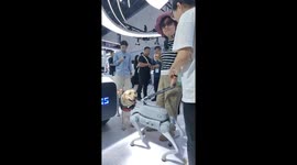 Robot dog designed to help the visually impaired debuts at Chinese tech expo