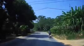 Tourists brace for impact as bus brakes to avoid head-on crash with overtaking truck