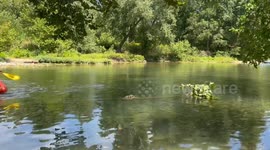 River Bushman Pranks Paddlers