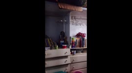 6.3-magnitude earthquake shakes in Zulia, Venezuela