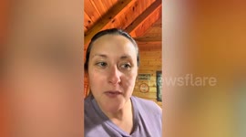 Hungry bear breaks into holiday cabin and raid kitchen
