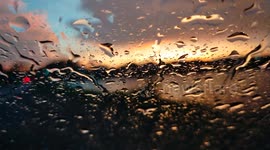Rain’s Gentle Embrace: Finding Beauty and Calm in Every Drop