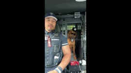 Mrs. Officer Dog is Ready to Serve