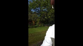 Dad Befriends Wild Fig Bird