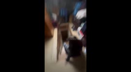 Drunk Sliding Down The Stairs