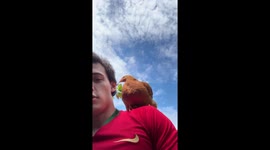 Chicken pecks owner’s mouth while perched on shoulder in Guatemala