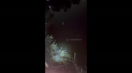 Woman catches frog during night date in Los Angeles, USA