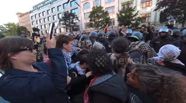 Germany: Protestor arrested during pro-Palestine rally in Berlin (2)