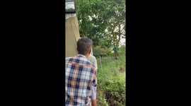 Neighbours watch as house slips into river in Vietnam