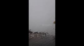 Monsoon storm unleashes powerful winds and heavy rain in Arizona, USA