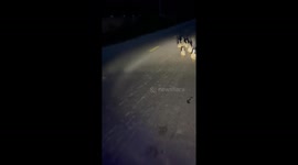 Man helps nine ducklings stranded on highway at night return safely to farm