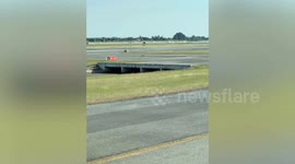 Airport staff catch monitor lizard on runway
