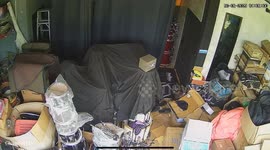 Music shop owner terrified as he steps on snake in the store room