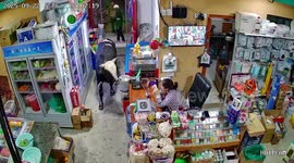 Shopkeeper shoos away lost cow wandering through her store